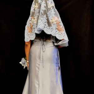 Special Event Consultation